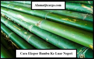 Cara Ekspor Bambu Ke Luar Negeri