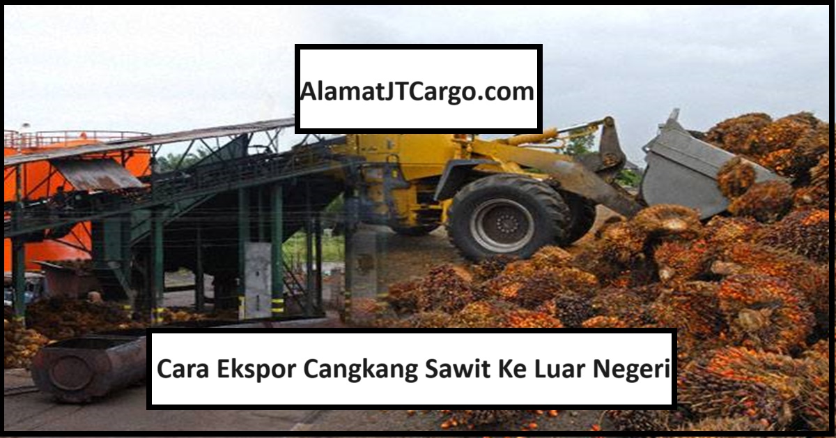 Cara Ekspor Cangkang Sawit Ke Luar Negeri